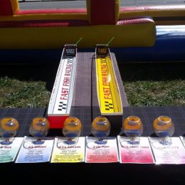Fish Race Game Fish Race Game