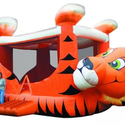 Tiger Belly Bounce