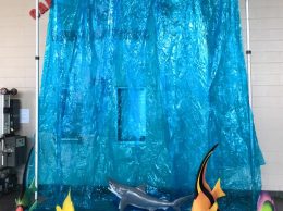 Underwater Back Drop Underwater Back Drop
