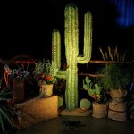 Cactus Decor Cactus Decor