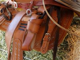 Saddle Decor Saddle Decor