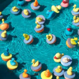 Duck Pond Game Duck Pond Game