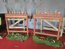 Bottle Shooting Gallery