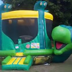 Turtle Belly Bounce