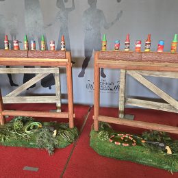 Bottle Shooting Gallery