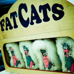 Fat Cats Fat Cats
