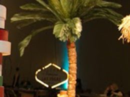 Palm Trees Palm Trees