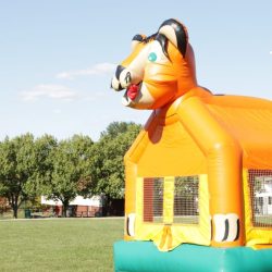 Cat Bounce House