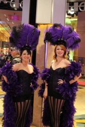 Las Vegas Show Girls Casino Nights