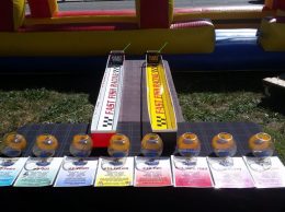 Fish Race Game Fish Race Game