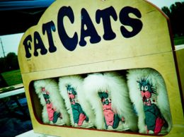 Fat Cats Fat Cats