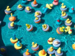 Duck Pond Game Duck Pond Game