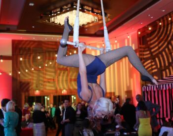 Aerial Entertainment Cincinnati