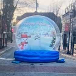 Christmas Snow Globe